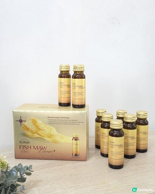 每天10隻花膠抗衰老