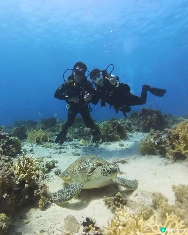 埃及自由行遊記:深入紅海之藍🤿1/3 vol 17