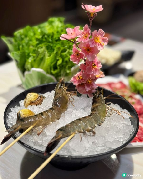 🇭🇰紅磡人均三百火鍋 吃到扶牆走 