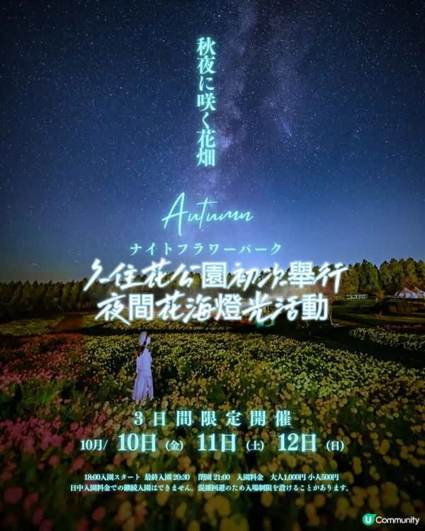 浪漫夜間花海燈光活動🌌