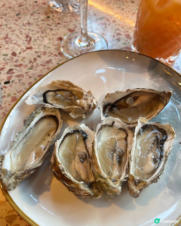 週末灣景匯聚餐！地中海美食之旅 🤩