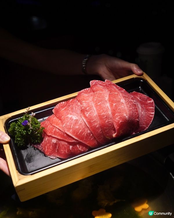 【啟德｜經典日式火鍋湯底配和風海鮮祭】