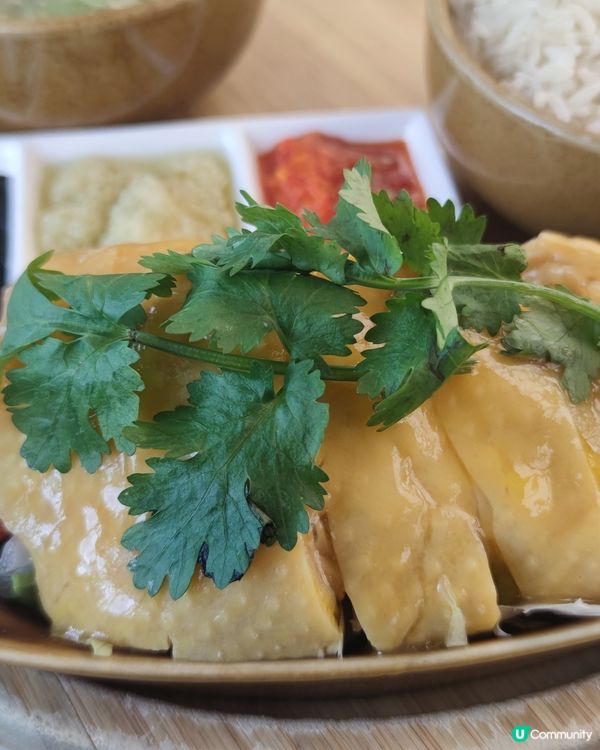 黃金海岸沙嗲軒海南雞飯🤤！滑嫩雞肉超正！