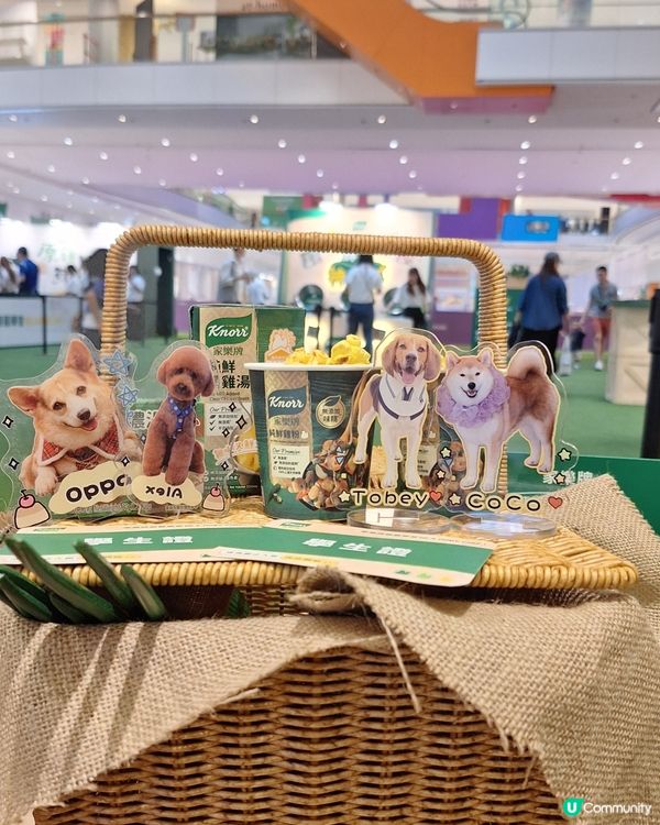 家樂牌廚藝學堂開學啦！🍦爆谷等你！