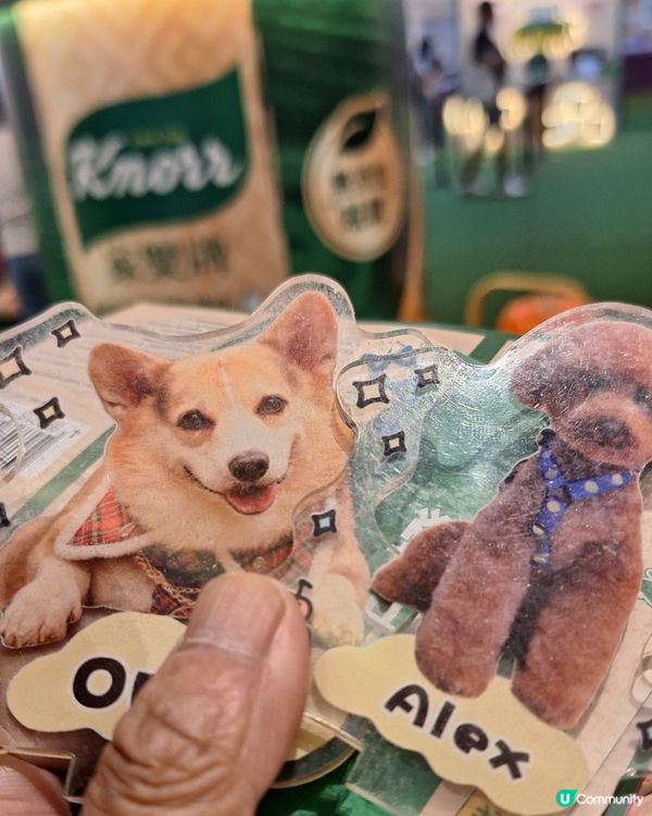 家樂牌廚藝學堂開學啦！🍦爆谷等你！