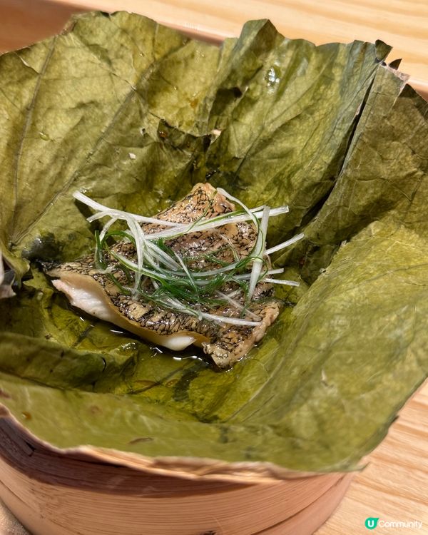 {深圳人均200+嘆高級鐵板燒🦞}