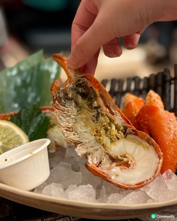 殿大喜屋任食🦞！龍蝦勁正🤤！ #尖沙咀美食