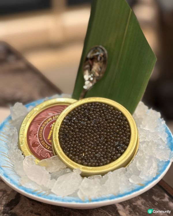 殿大喜屋任食🦞！龍蝦勁正🤤！ #尖沙咀美食