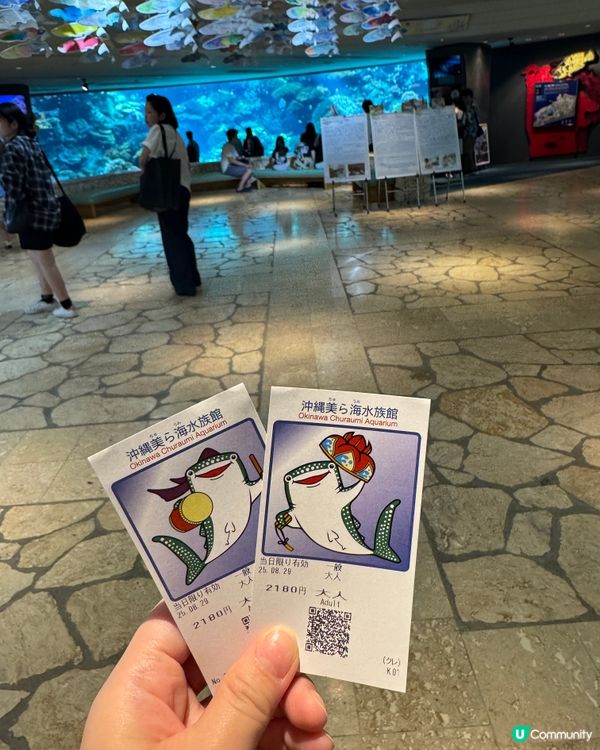 【沖繩美麗海水族館】✨🐳🐋🪼