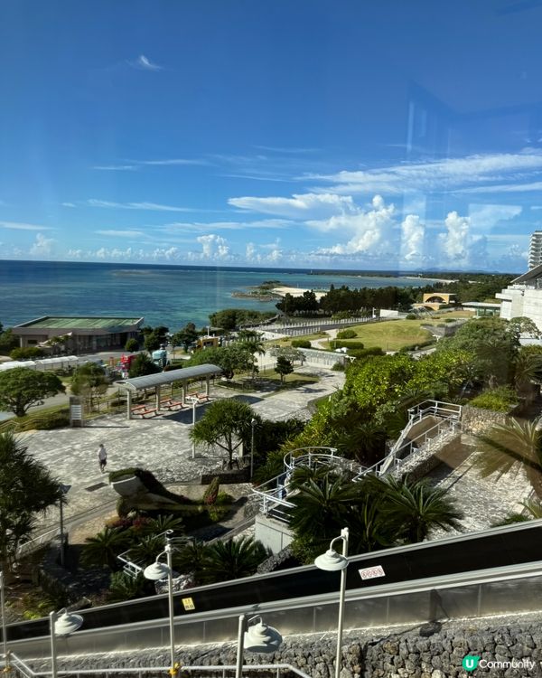【沖繩美麗海水族館】✨🐳🐋🪼