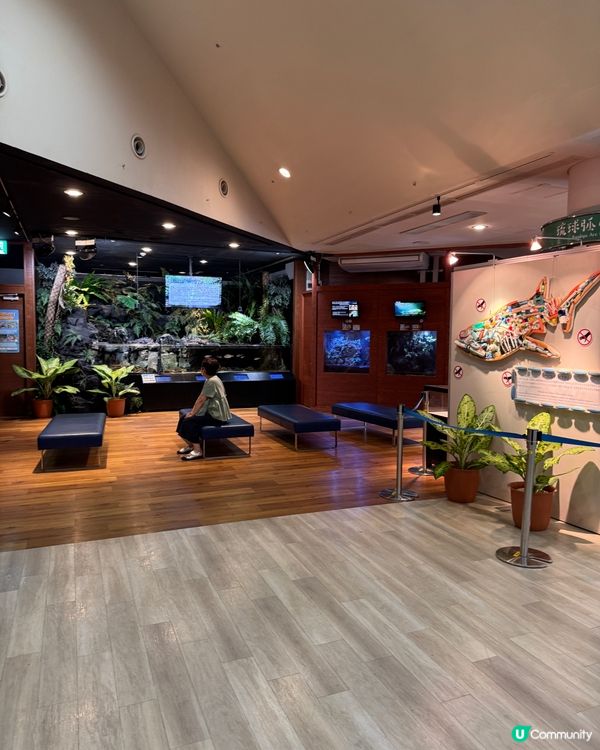 【沖繩美麗海水族館】✨🐳🐋🪼