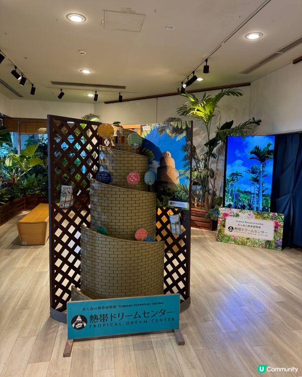 【沖繩美麗海水族館】✨🐳🐋🪼