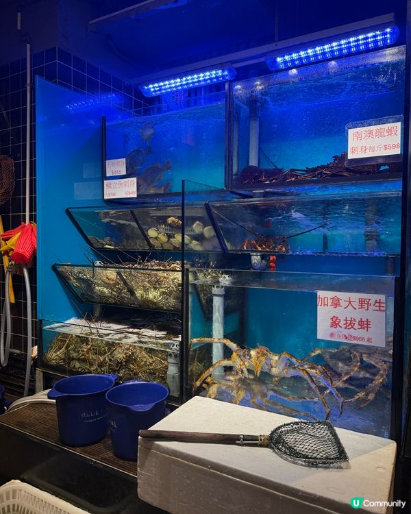 ｢多人食吾系無道理,真系好食同好鮮!!｣