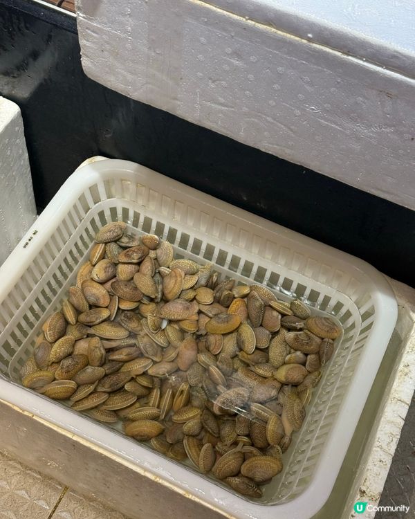 ｢多人食吾系無道理,真系好食同好鮮!!｣