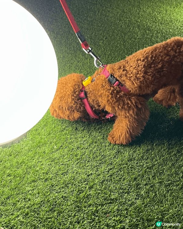 銅鑼灣世貿商場 5樓