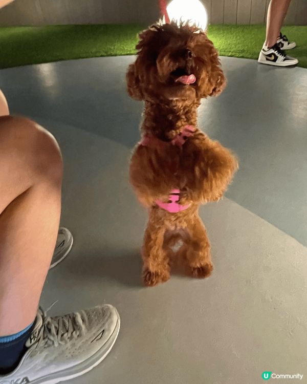 銅鑼灣世貿商場 5樓