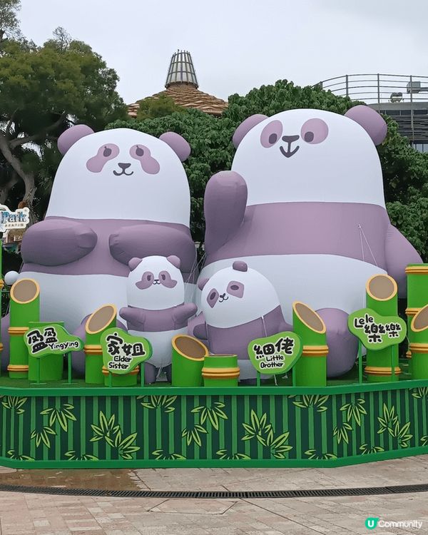 香港海洋公園好適合一家大細去玩，可以睇動物同玩機動遊戲，裡面...