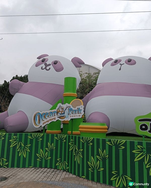 香港海洋公園好適合一家大細去玩，可以睇動物同玩機動遊戲，裡面...