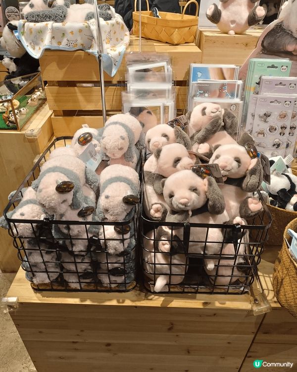 香港海洋公園好適合一家大細去玩，可以睇動物同玩機動遊戲，裡面...