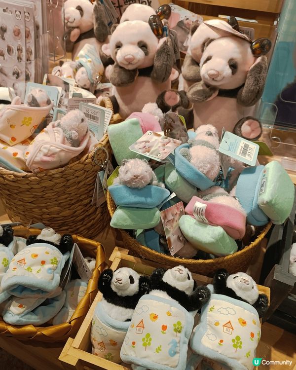 香港海洋公園好適合一家大細去玩，可以睇動物同玩機動遊戲，裡面...