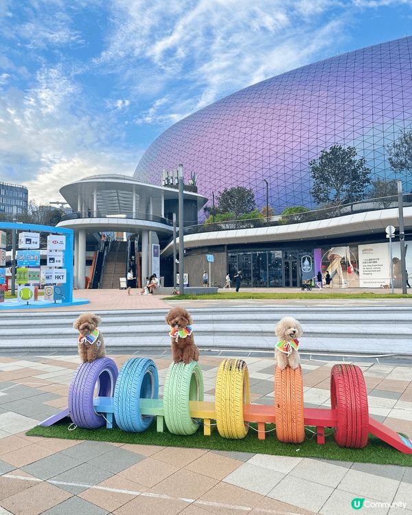 ❤️啟德海濱空間夠曬大，大人細路寵物都適合去！🧡Airsid...