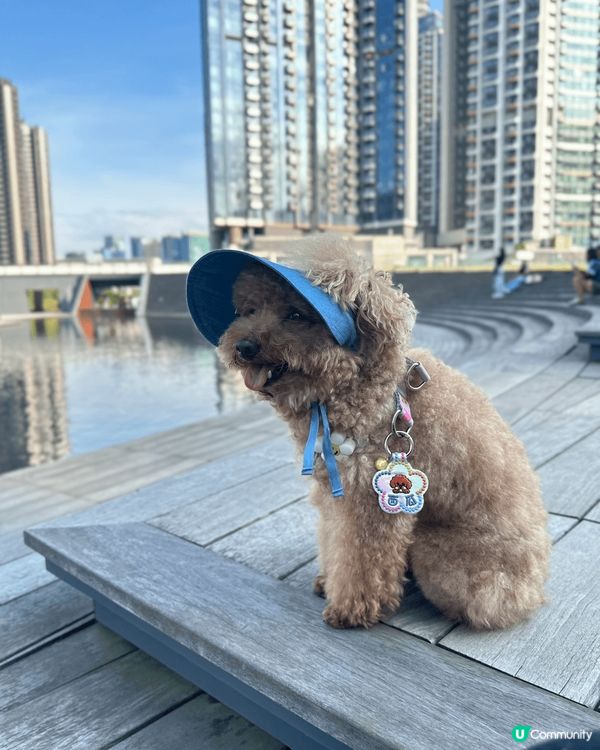 ❤️啟德海濱空間夠曬大，大人細路寵物都適合去！🧡Airsid...