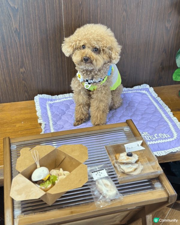 ❤️啟德海濱空間夠曬大，大人細路寵物都適合去！🧡Airsid...