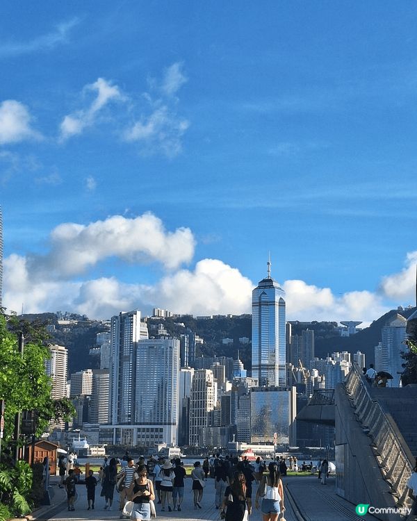 M+為藝術博物館，可在內欣賞中西合璧的藝術作品。而東岸板道及...