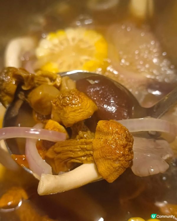 🍲佐敦火鍋食到飽放題