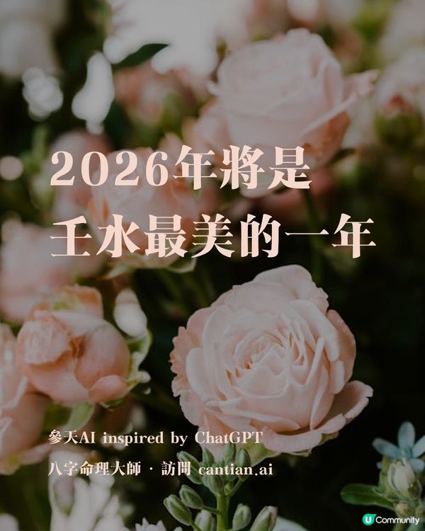 為什麼壬水會在2026年迎來顏值巔峰