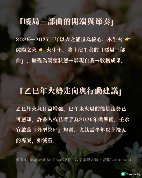 為什麼壬水會在2026年迎來顏值巔峰