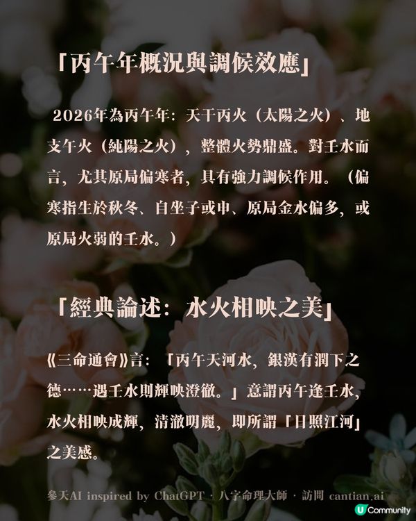 為什麼壬水會在2026年迎來顏值巔峰