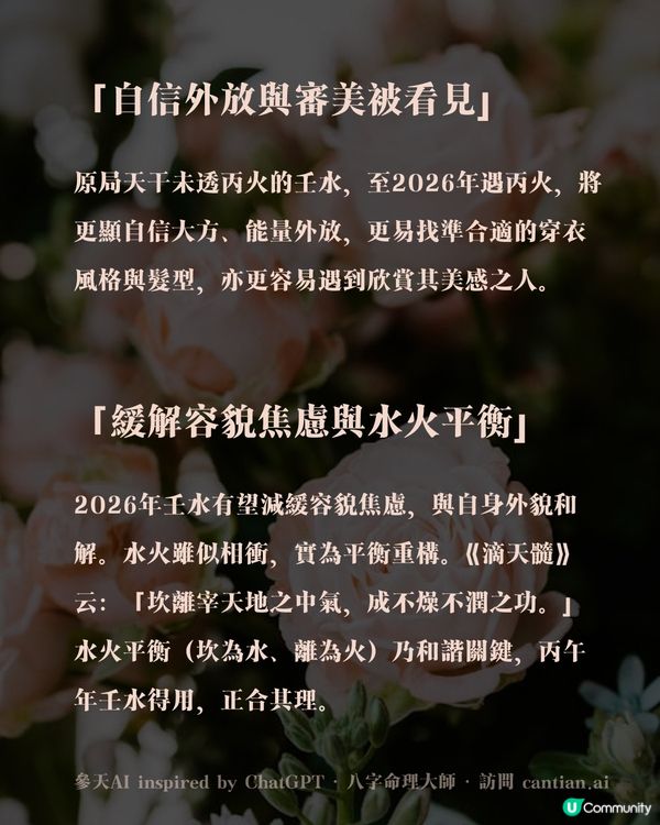 為什麼壬水會在2026年迎來顏值巔峰