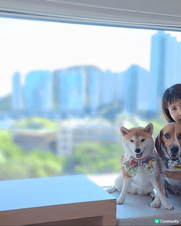 Pet friendly黃竹坑the arca hotel....