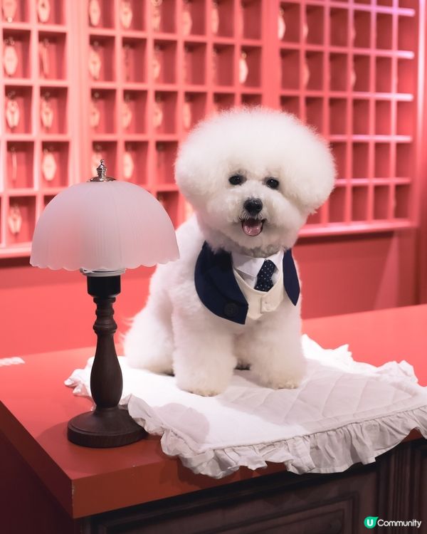 打工仔嘅日常 😴 鬧鐘一響即刻開工！