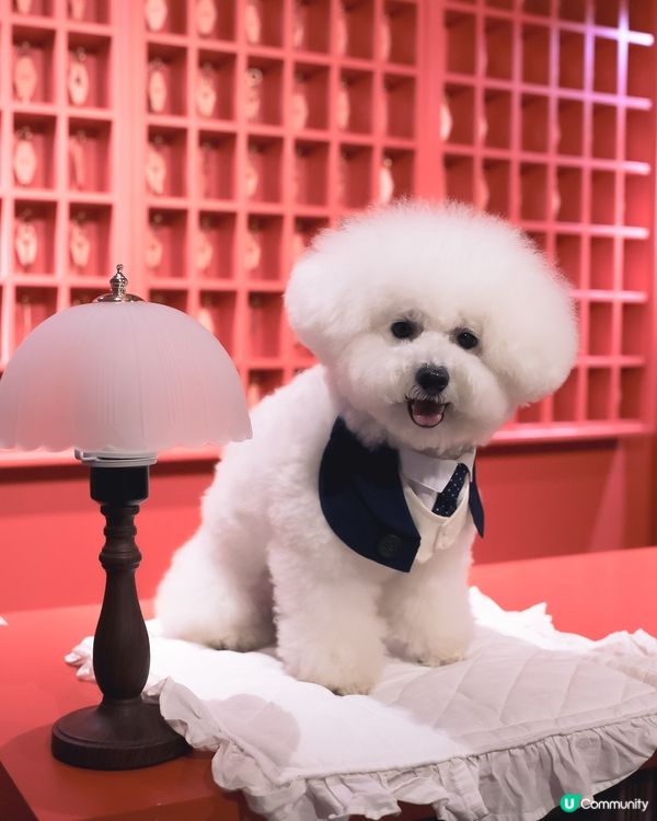 打工仔嘅日常 😴 鬧鐘一響即刻開工！