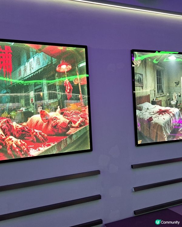 深圳布吉，18000m超大空間一票任玩