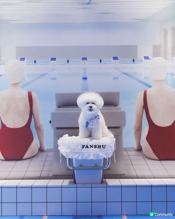 帶埋毛孩游乾水！南豐紗廠夏日必去 🐶💦