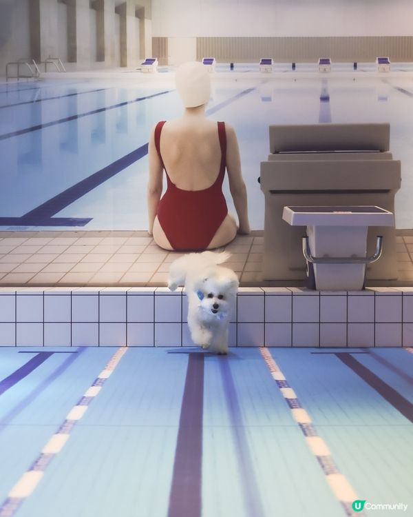 帶埋毛孩游乾水！南豐紗廠夏日必去 🐶💦