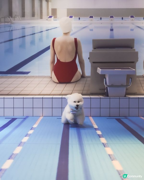 帶埋毛孩游乾水！南豐紗廠夏日必去 🐶💦