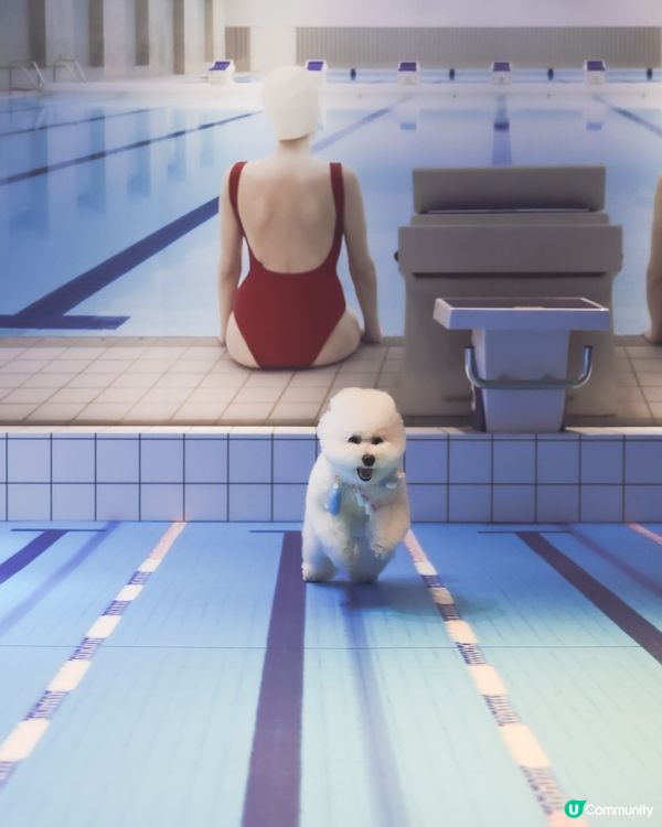 帶埋毛孩游乾水！南豐紗廠夏日必去 🐶💦