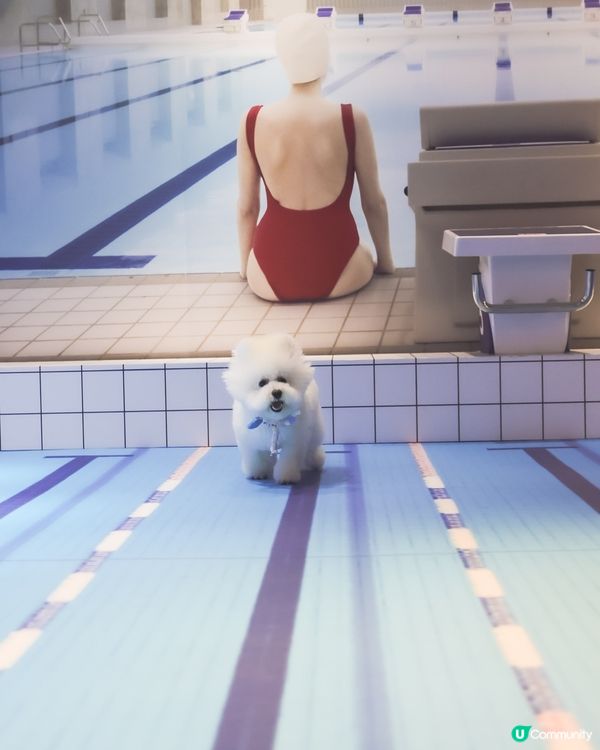 帶埋毛孩游乾水！南豐紗廠夏日必去 🐶💦