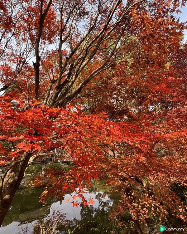福岡的海上鳥居是非常獨特且寧靜的景點，這個鳥居並非孤立在海中...