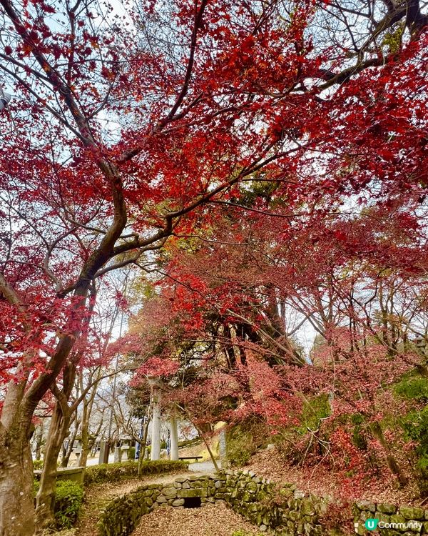 福岡的海上鳥居是非常獨特且寧靜的景點，這個鳥居並非孤立在海中...