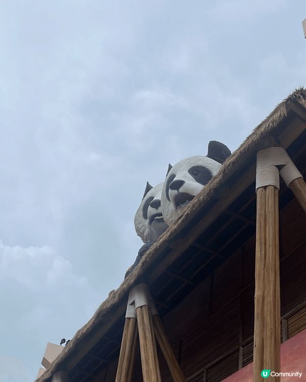 一定係海洋公園熊貓館睇熊貓，大人細路都岩睇！探下熊貓打卡影靚...