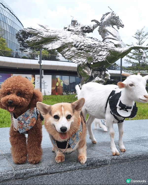 啓德美食海灣不停期，音樂會市集及嘉年華給市民吃喝玩樂，非常C...