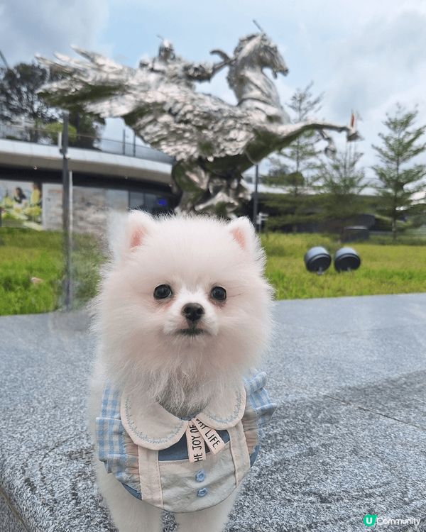 啓德美食海灣不停期，音樂會市集及嘉年華給市民吃喝玩樂，非常C...