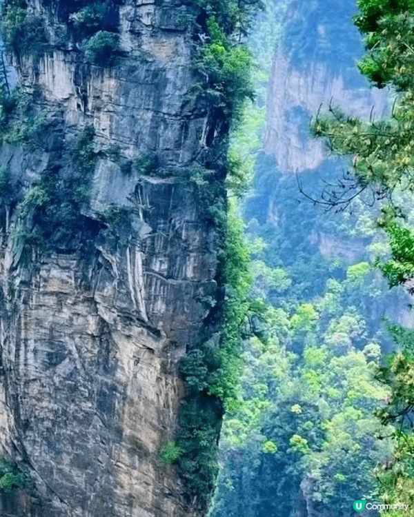 張家界位於湖南西北，奇峰林立、秀水環繞，是中國首個國家森林公...