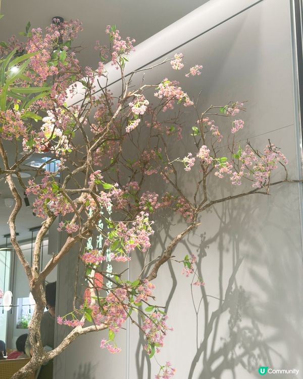 綠茶餐廳將軍澳開張！😋 米芝蓮名廚坐鎮！