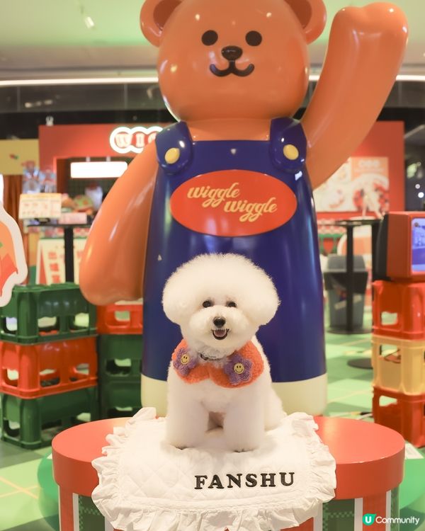 打卡韓國超火 Wiggle wiggle🌼 期間限定店